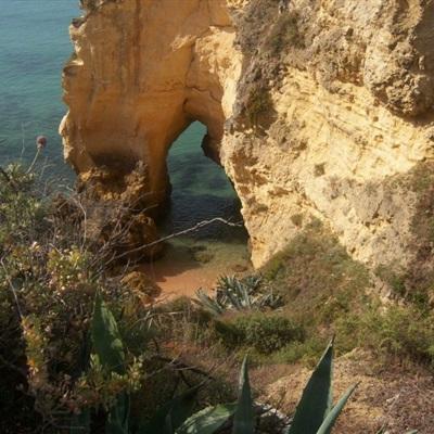 亚虎娱乐手机app下载